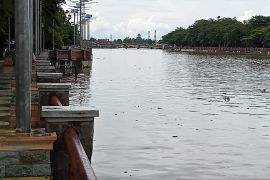 Banjarmasin river high tide still at a safe level