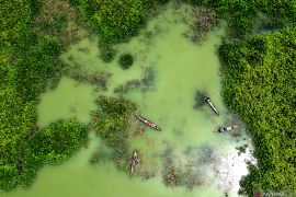 MenterI LH intensifkan langkah penyelamatan 15 danau prioritas