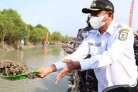 Pemkab Sergai lakukan upaya antisipasi wabah PMK