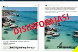Diskominfo Belitung: Foto kemunculan buaya pantai Tanjung Tinggi disinformasi