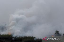 Mitigasi Karhutla pada puncak  musim kemarau di Sumsel