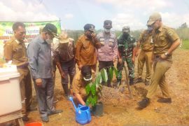 Petani Desa Uwie Tabalong kembangkan durian unggul lokal