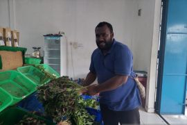 Kisah Simon Tabuni, wirausaha muda Papua lulusan Inggris yang tolak jadi PNS