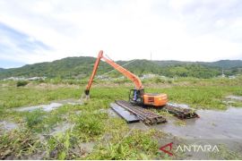 Pengerukan eceng gondok di Danau Limboto