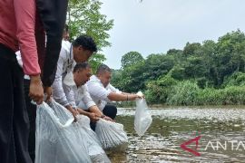 Bupati Tapsel tabur belasan ribu bibit ikan