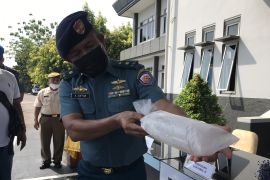 Ratusan ribu benih lobster tangkapan TNI AL dilepaskan di Perairan Kepri