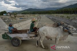 Pengoperasian Saluran Pengendali Banjir di Sigi Page 2 Small