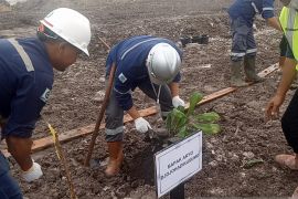 PT MSP Bangka reklamasi area bekas tambang