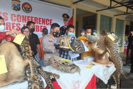 Polisi tangkap perajin di Jember gunakan bahan satwa liar dilindungi