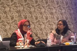 Palu dorong GPDRR akomodasi pendekatan budaya kurangi risiko bencana