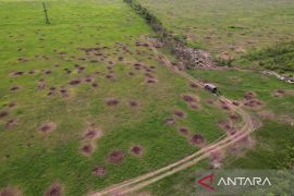 Desa Ukraina masih banjir setelah penghancuran bendungan halangi tank Rusia