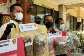 WNA Jepang terjaring operasi narkoba di Bali