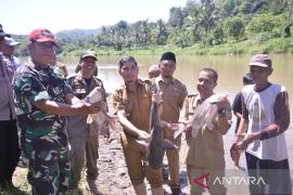 Pokmaswas Bersama Dusun Siambalau Sawahlunto panen ikan dari lubuk larangan