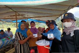 PLN turut ramaikan even Pacu Jawi Tanah Datar