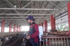 Tanggap hadapi serangan PMK, Polbangtan Kementan lakukan antisipasi