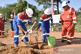Pertamina Hulu Rokan Zona 4 tanam ribuan pohon di kawasan pengelolaan migas