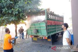 Sulawesi kirim sapi bebas PMK ke Tanah Bumbu Kalsel