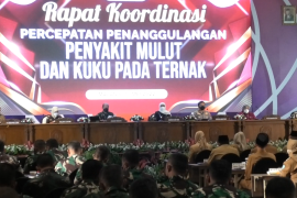 PMK ditemukan di 25 kabupaten kota, Jatim perlu satgas khusus