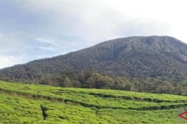 Gunung Api Dempo di Pagaralam Sumsel letuskan abu vulkanik