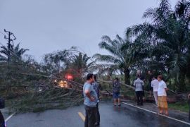 Ini imbauan BPBK Aceh Jaya di tengah cuaca ekstrem