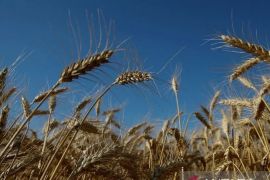 Pejabat PBB-Rusia bahas kerawanan pangan global