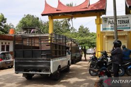 Pasar Ternak Batusangkar kembali dibuka, hewan bergejala harus putar balik