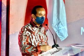 DEN dukung upaya RI menuju  "net zero emission" pada 2060