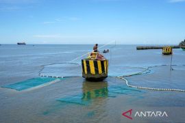 Musim ikan Nike di Gorontalo