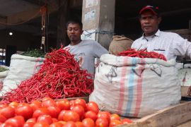 Stok terbatas, Harga cabai merah meroket dalam sepekan terakhir