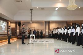 Sekda Naziarto Lantik 233 PPPK Untuk Bekerja Profesional, Proporsional dan Perfeksionis