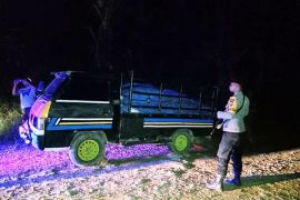 Tiga pembawa empat ton getah pinus ditangkap