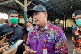 Tangerang to dispatch 100 doctors for health monitoring of livestock