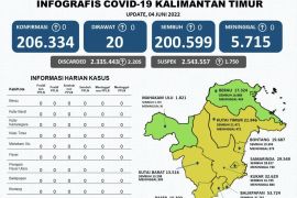 Satgas COVID-19 Kaltim: Mahakam Ulu dan Berau  bertahan di zona hijau