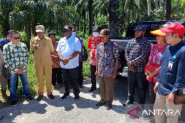 Kemenko Maritim berencana bahas program food estate Papua
