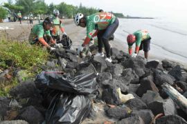 Pertamina Balongan lakukan bersih pantai dan tanam pohon