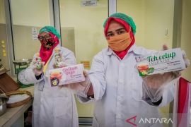 Tanaman obat Kaltim berkhasiat dan jadi bisnis rumahan omset ratusan juta