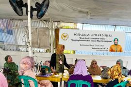 Erlinawati ajak perempuan Kalbar jadi agen empat pilar kebangsaan
