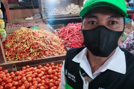 Harga cabai rawit di Jember terus meroket tembus Rp100 ribu/kg