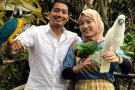 (Tulisan Ridwan Kamil)  - Kapan kita pulang ?