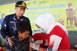 Dinkes: semua kabupaten/kota di Kalsel sudah turun status PPKM level 1