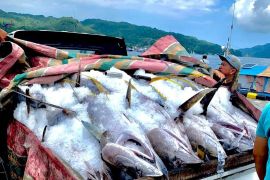 Tingkat kesejahteraan nelayan Sulut membaik