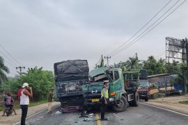 Dua truk laga kambing di Lintas Sorek Pelalawan, satu luka berat
