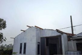 Angin kencang landa Pidie, atap rumah rusak dan pohon serta dua tiang listrik roboh