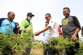 Jelang Idul Adha, Pemkot Surabaya antisipasi naiknya harga kebutuhan pokok
