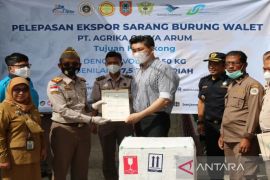 Nilai ekspor sarang burung walet Kalsel tembus Rp5,19 miliar