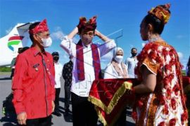 Kunjungan Presiden Jokowi Di Wakatobi Page 1 Small