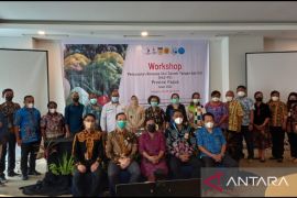 Pemprov Papua harap penyusunan RAD-PG tingkatkan status gizi