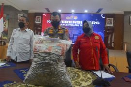 Polisi Gagalkan Penjualan Sisik Trenggiling Page 1 Small