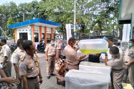 BKIPM Surabaya lepas ekspor perdana ikan koi ke Malaysia