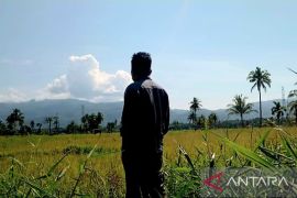 Irigasi Paya Sordang tak kunjung diperbaiki, petani Tapsel khawatir gagal tanam kedua